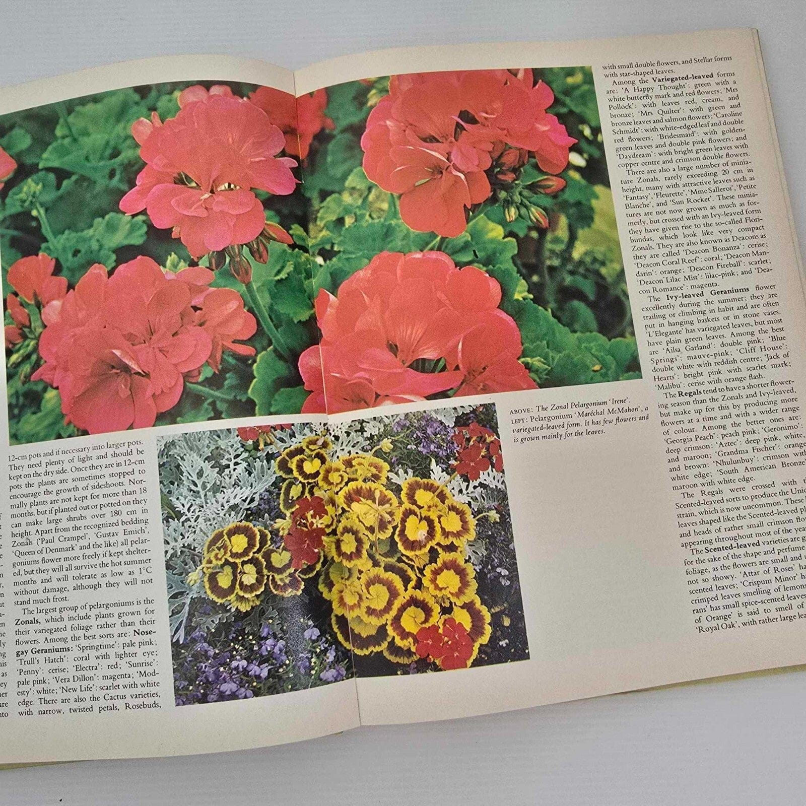 Alona.com.au The Australian All Colour Gardening Book by Shirley Stackhouse, Hardcover 1978