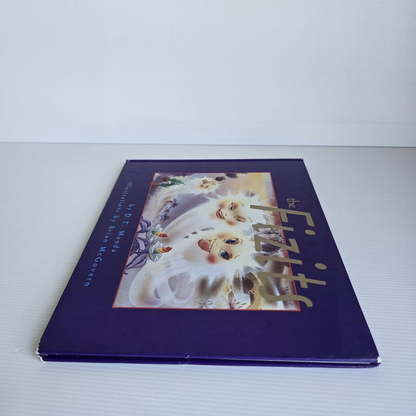 Alona.com.au The Fizits by D.T.Munda and Illustrations by Brian McGovern (First Edition 1994)
