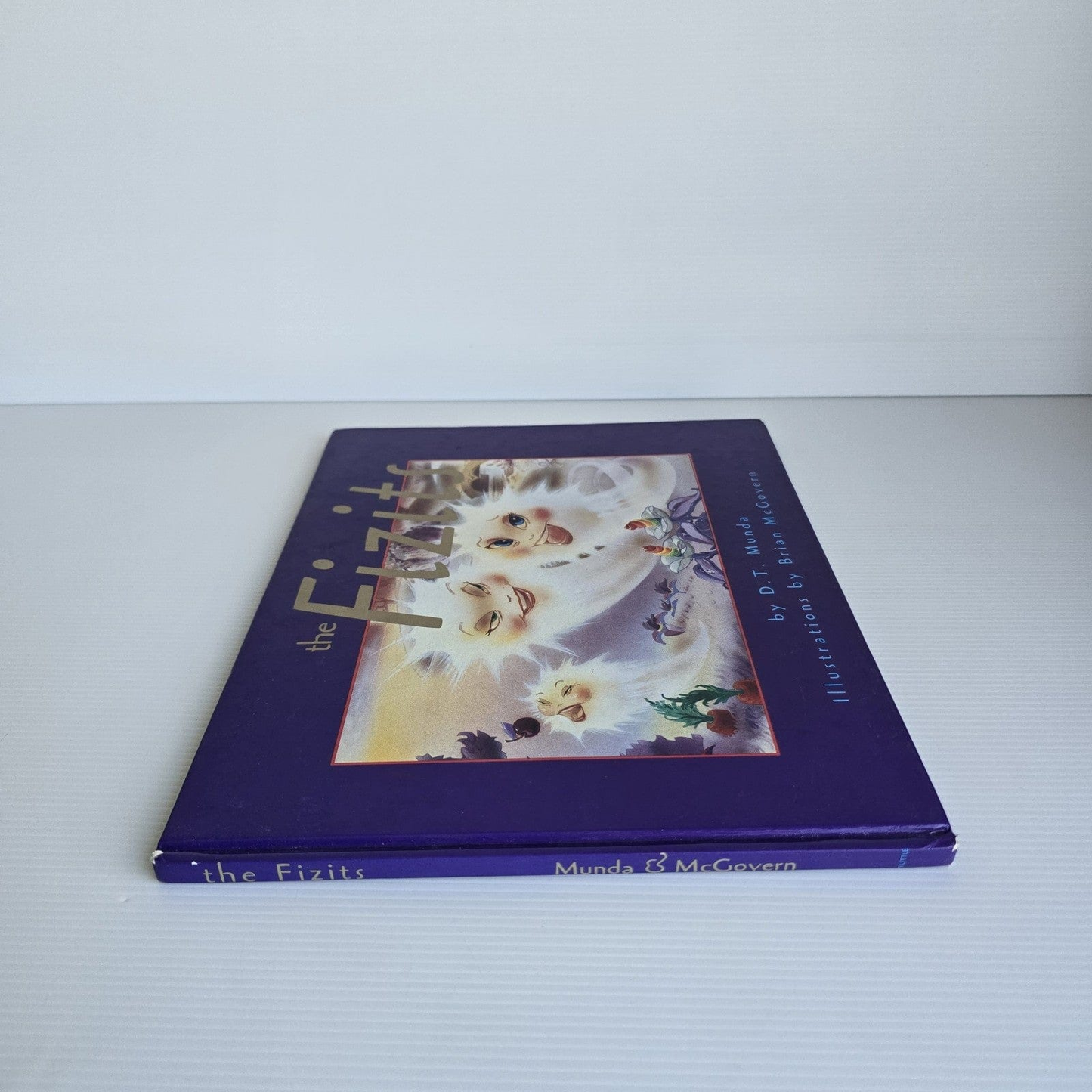 Alona.com.au The Fizits by D.T.Munda and Illustrations by Brian McGovern (First Edition 1994)