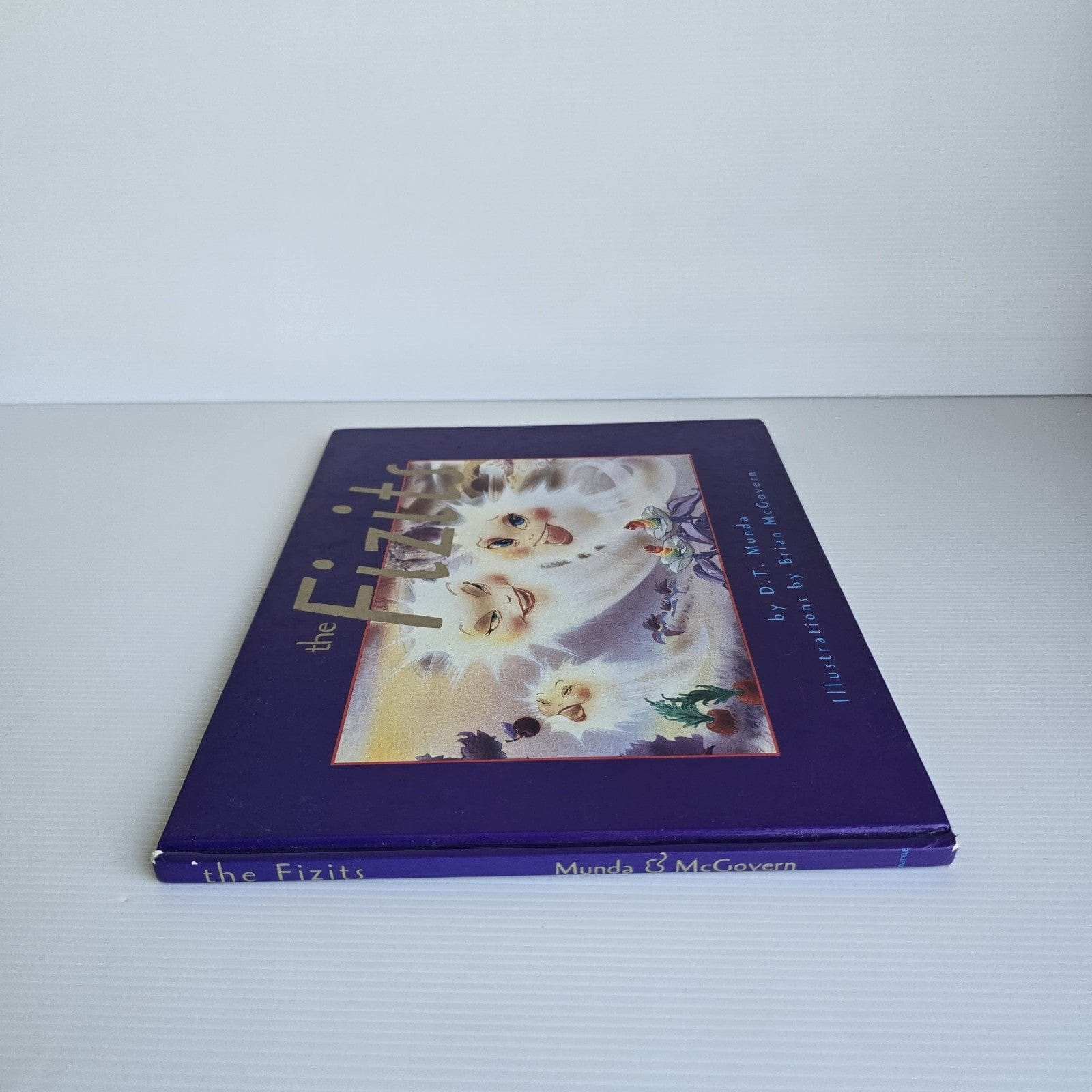 Alona.com.au The Fizits by D.T.Munda and Illustrations by Brian McGovern (First Edition 1994)