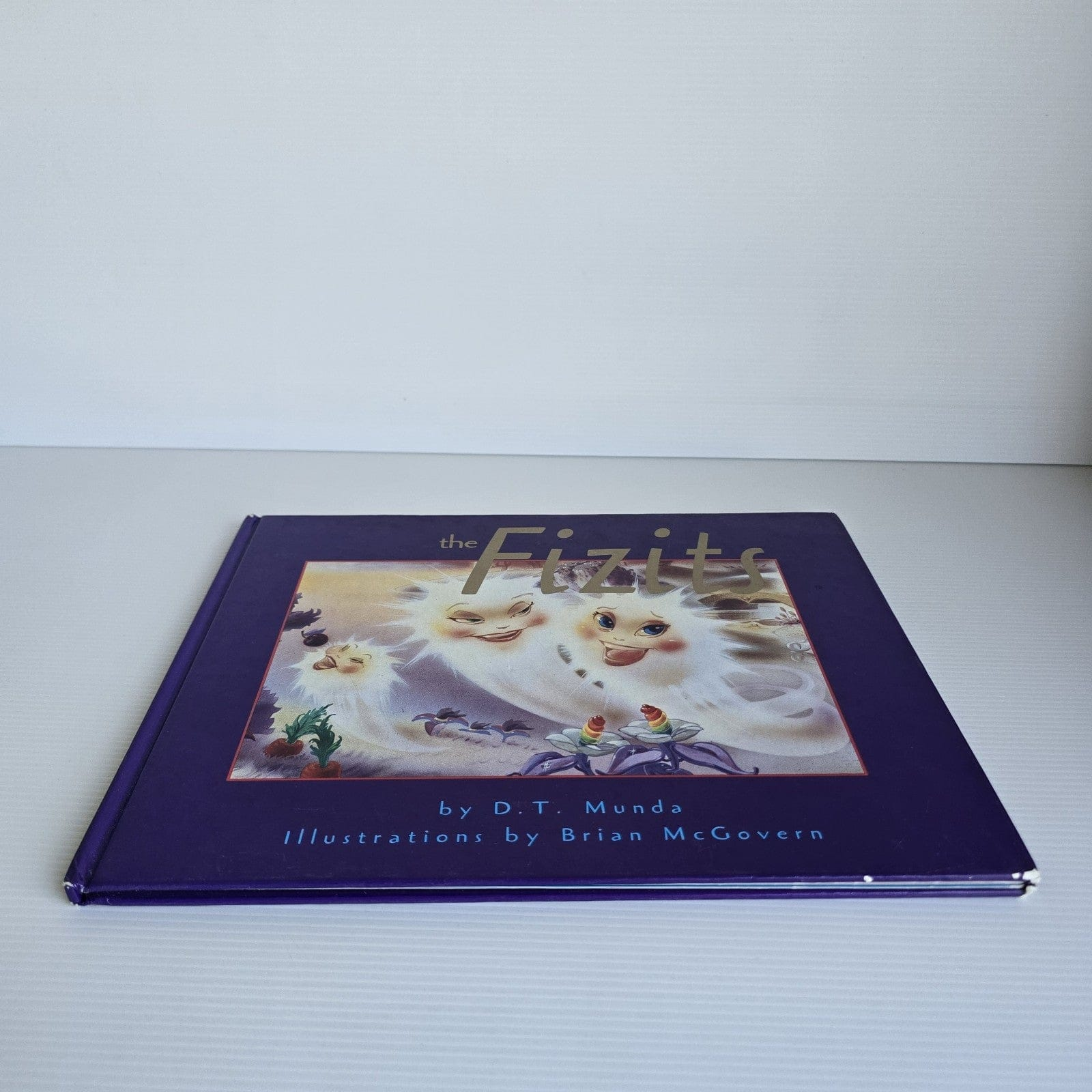 Alona.com.au The Fizits by D.T.Munda and Illustrations by Brian McGovern (First Edition 1994)