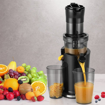 Devanti Commercial > Commercial Others > Distilling & Brewing Devanti Slow Juicer Cold Press Fruit Juice Extractor 200W Black