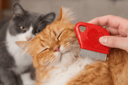 Dudley's World of Pets Pet Care > Cleaning & Maintenance > Pet Grooming Supplies Mini Flea Comb Pet Care Cats Dogs Grooming Detangler Stainless Steel Bristles