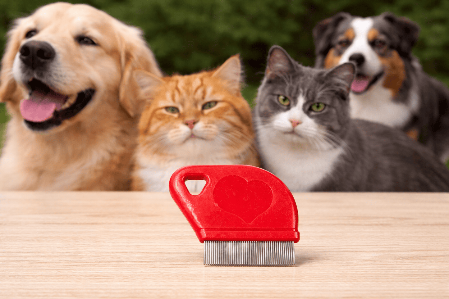 Dudley's World of Pets Pet Care > Cleaning & Maintenance > Pet Grooming Supplies Mini Flea Comb Pet Care Cats Dogs Grooming Detangler Stainless Steel Bristles