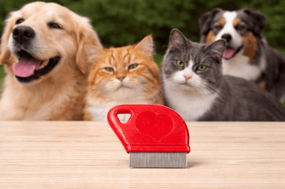 Dudley's World of Pets Pet Care > Cleaning & Maintenance > Pet Grooming Supplies Mini Flea Comb Pet Care Cats Dogs Grooming Detangler Stainless Steel Bristles