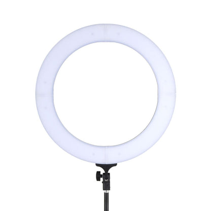 Embellir Audio & Video > Photography > Camera Accessories Embellir Ring Light 14" Tripod Stand
