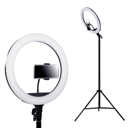 Embellir Audio & Video > Photography > Camera Accessories Embellir Ring Light 14" Tripod Stand