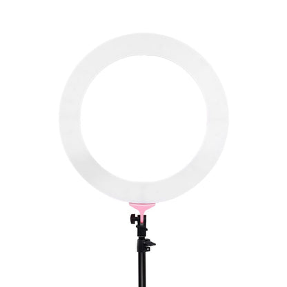 Embellir Audio & Video > Photography > Camera Accessories Embellir Ring Light 19" Tripod Stand Pink