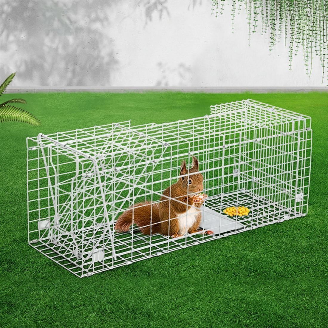 Gardeon Pet Care > Pest Control > Animal Traps Gardeon Animal Trap Cage Possum 66x23cm