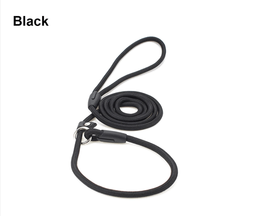 Generic Black Pet Dog Leash Correction Rope Nylon Adjustable Slip Training Lead Puppy Black
