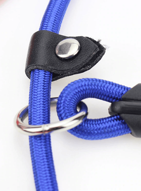 Generic Pet Dog Leash Correction Rope Nylon Adjustable Slip Training Lead Puppy Black