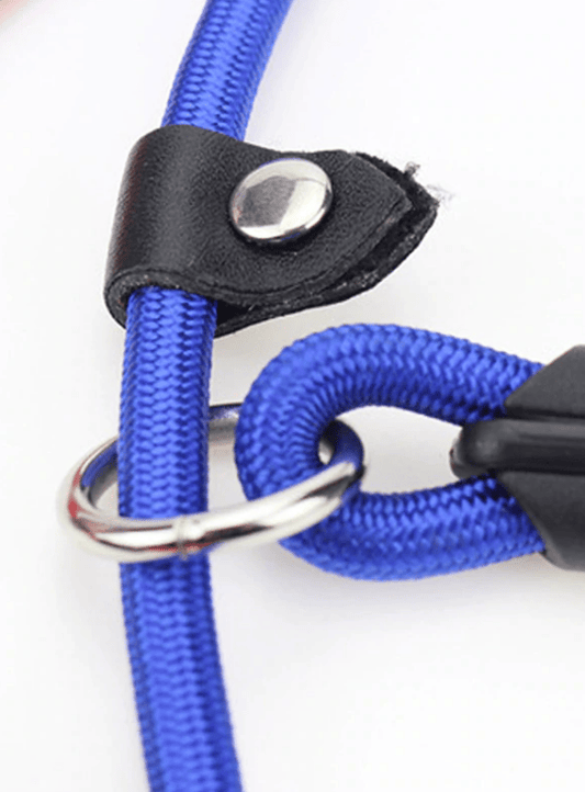 Generic Pet Dog Leash Correction Rope Nylon Adjustable Slip Training Lead Puppy Black