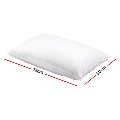 Giselle Home & Garden > Bedding > Pillows Giselle Bedding Duck Feather Down Pillow Twin Pack