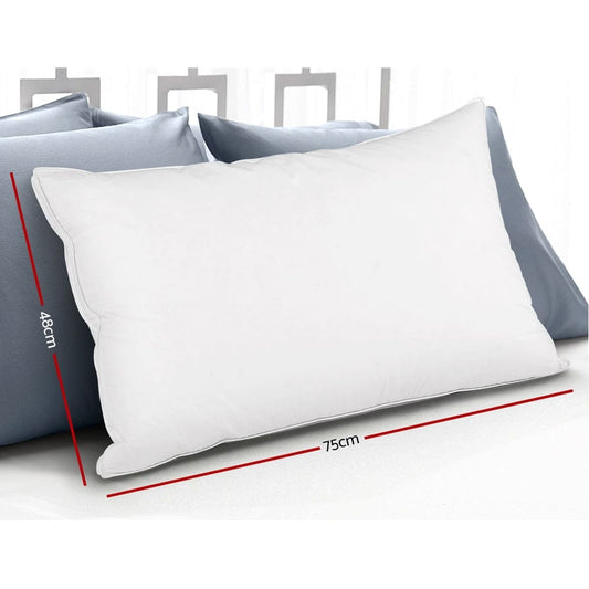 Giselle Home & Garden > Bedding > Pillows Giselle Bedding Goose Feather Down Pillow Luxury Twin Pack