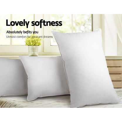 Giselle Home & Garden > Bedding > Pillows Giselle Bedding Goose Feather Down Pillow Twin Pack