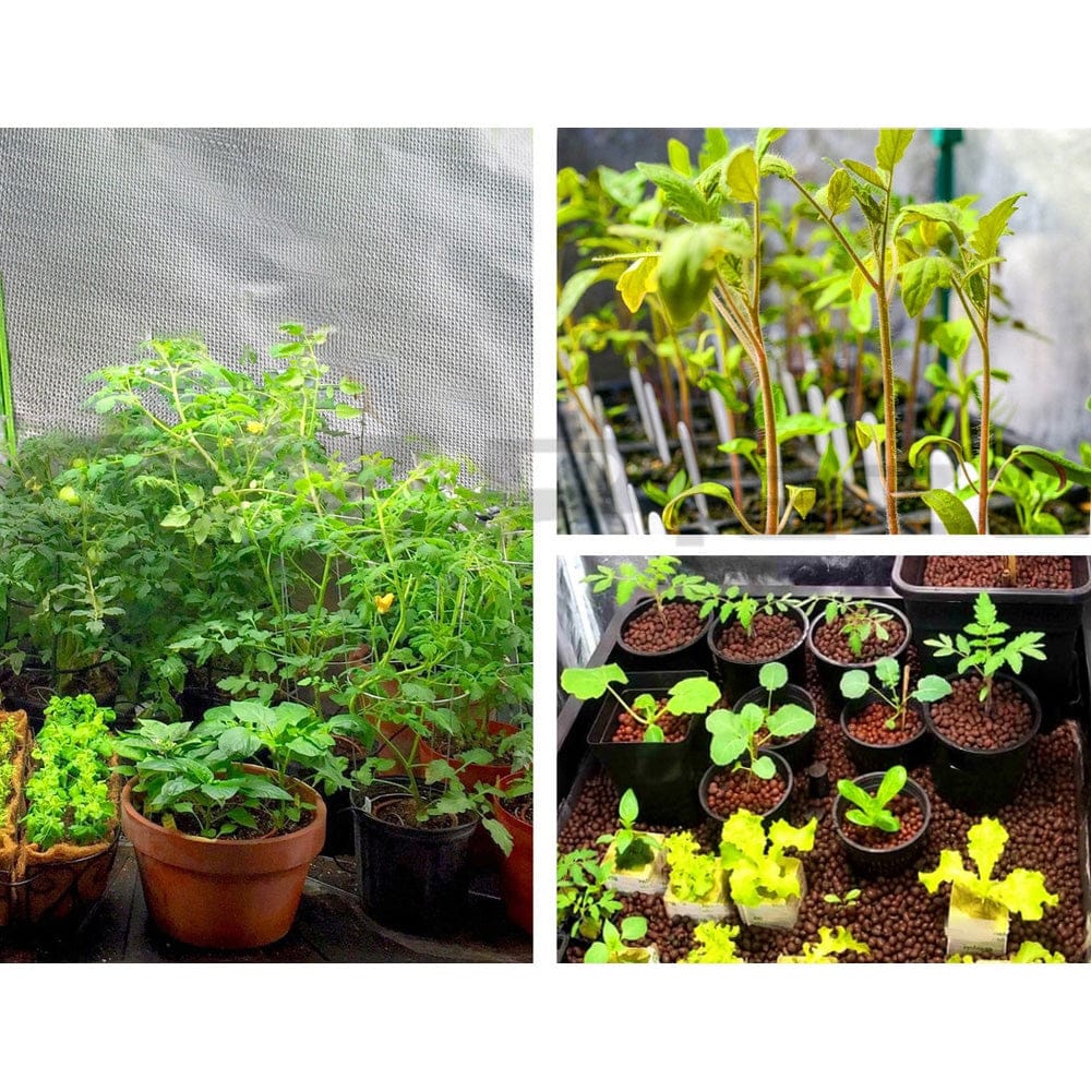 Green Fingers Home & Garden > Greenhouses > Greenhouses & Accessories Green Fingers Grow Tent 60x60x90CM Hydroponics Kit Indoor Plant Room System