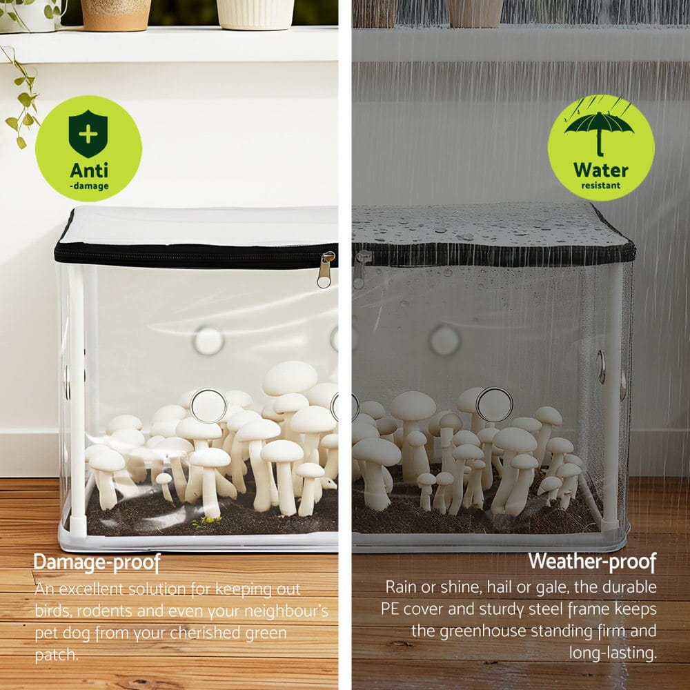 Green Fingers Home & Garden > Greenhouses > Greenhouses & Accessories Green Fingers Mini Greenhouse 50x25x25cm PVC Cover for Mushrooms Succulents