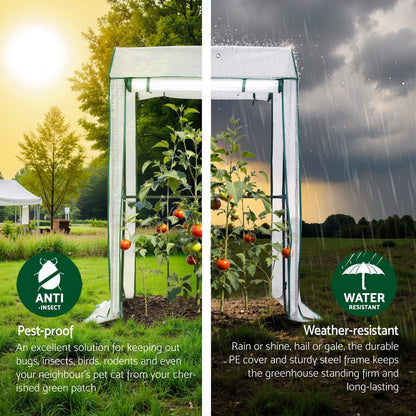 Green Fingers Home & Garden > Greenhouses > Greenhouses & Accessories Green Fingers Mini Greenhouse PE Cover Green House Roll-Up Zippered Door 1.0x0.8x1.5M