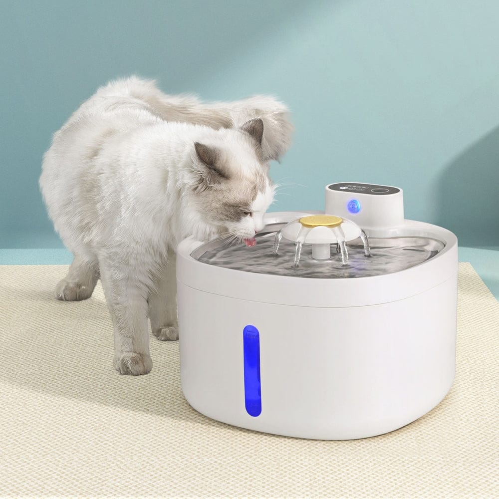 i.Pet Pet Care > Cat Supplies > Cat Bowls, Feeders & Waterers i.Pet Pet Water Fountain Feeder Dispenser Filter Dog Cat Drinking Automatic 2.6L