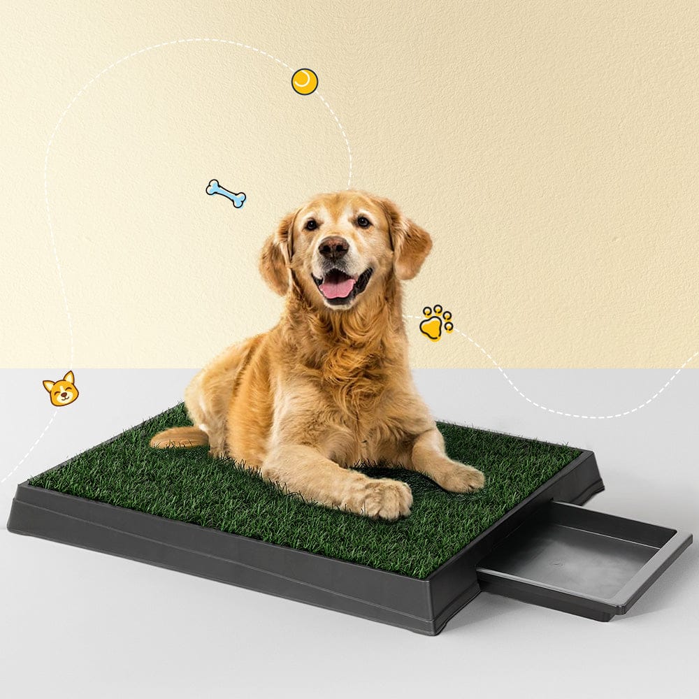 i.Pet Pet Care > Dog Supplies > Dog Training Aids i.Pet Pet Training Pad Dog Potty Toilet Large Portable With Tray Grass 2 Mats