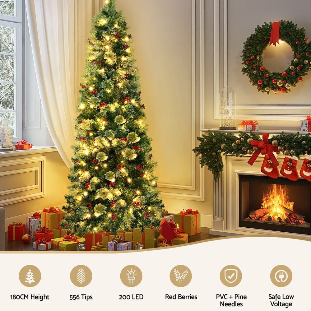 Jingle Jollys Occasions > Christmas > Christmas Trees Jingle Jollys Christmas Tree 1.8M LED Xmas Tree Party Decorations Red Barries