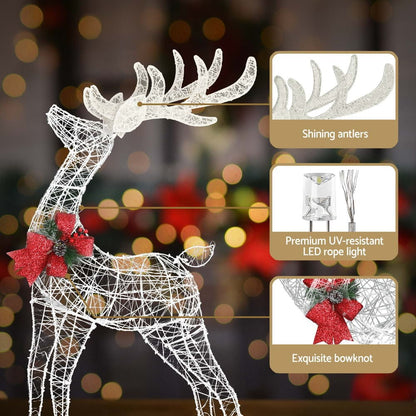 Jingle Jollys Occasions > Christmas > Outdoor Decorations & Lights 2 PCS Christmas Lights 170 LED Fairy Light Reindeer Decorations Jingle Jollys