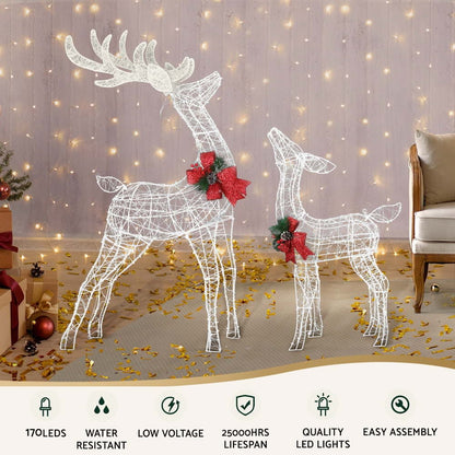 Jingle Jollys Occasions > Christmas > Outdoor Decorations & Lights 2 PCS Christmas Lights 170 LED Fairy Light Reindeer Decorations Jingle Jollys